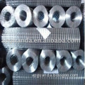 SS WELDED WIRE MESH (anping)